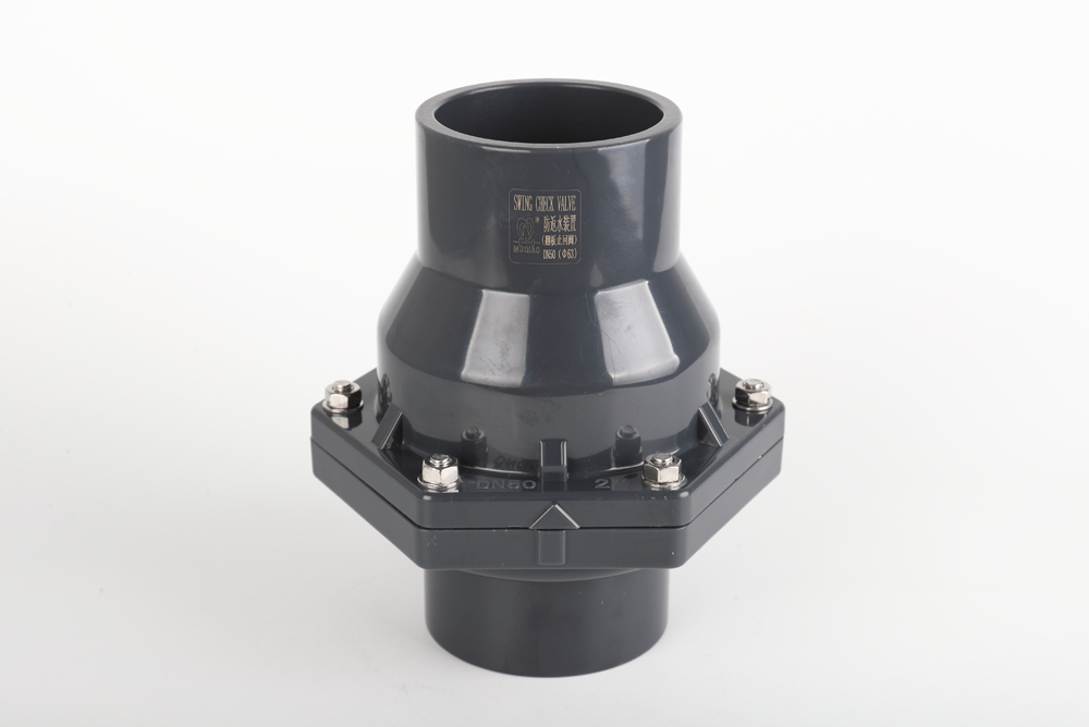 椰林镇翻板式止回阀