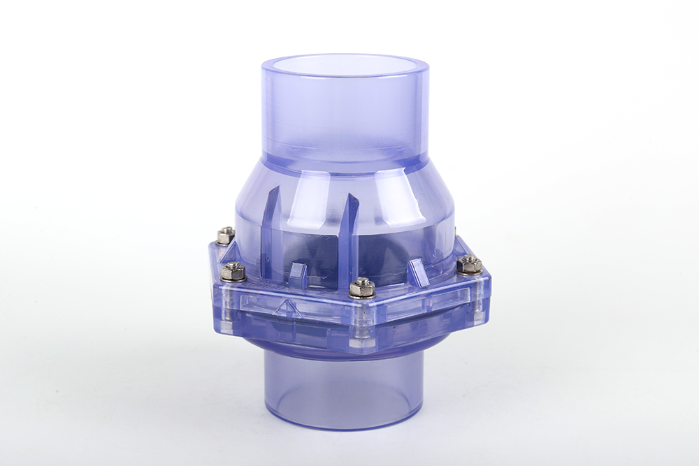 椰林镇透明翻板式止回阀